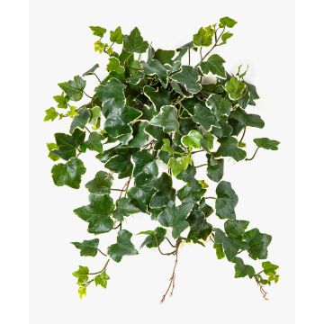 Hiedra artificial LINNEO en varilla, crossdoor, verde-blanco, 50 cm
