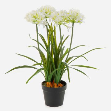 Planta artificial agapanto LESEDA en maceta decorativa, blanca, 65 cm