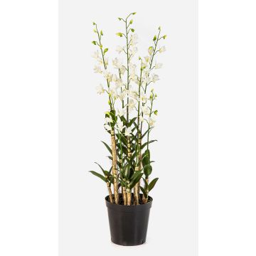 Flor artificial Dendrobium LOFINA en maceta decorativa, blanca, 130 cm