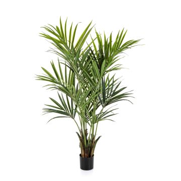 Palmera kentia artificial OMAYRA, difícilmente inflamable, 170 cm