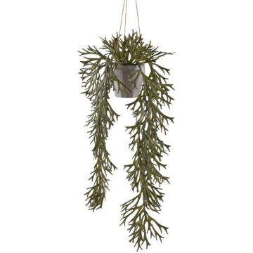 Colgante decorativo helecho DRIHER, maceta decorativa, verde, 70 cm