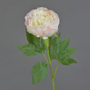Flor artificial de peonía SEDFY, rosa, 60 cm