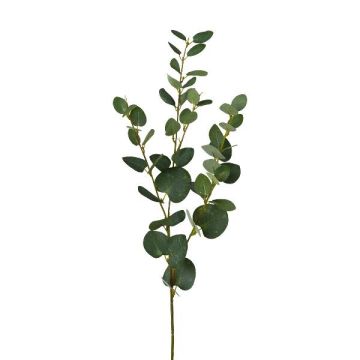 Rama decorativa de eucalipto JINVAL, verde, 80 cm Rama decorativa de eucalipto JINVAL, verde, 80 cm