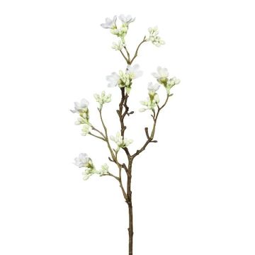 Rama decorativa Siete hijos del cielo GRIMKO, blanca, 50 cm