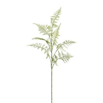 Rama artificial de espárrago Plumosus PLAVIN, verde, 85 cm