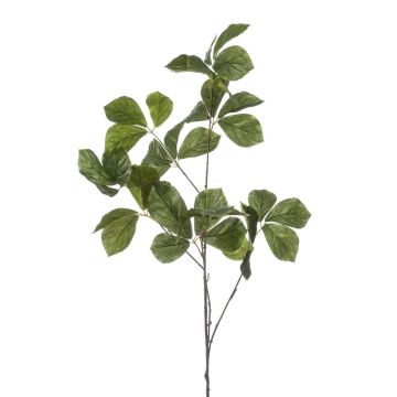 Rama decorativa de castaño SNELOR, verde, 120 cm