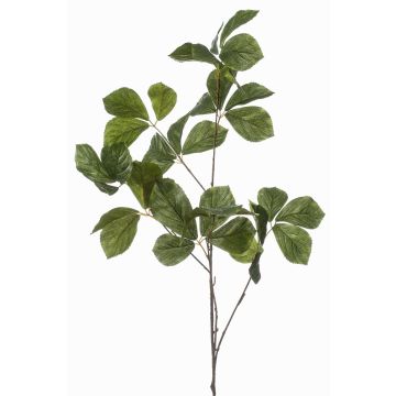 Rama decorativa de castaño SNELOR, verde, 120 cm