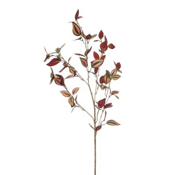Rama decorativa Tradescantia zebrina ROVILB, rojo burdeos, 90 cm