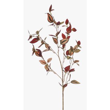 Rama decorativa Tradescantia zebrina ROVILB, rojo burdeos, 90 cm