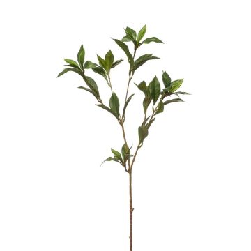 Rama decorativa de laurel ITRELK, verde, 90 cm