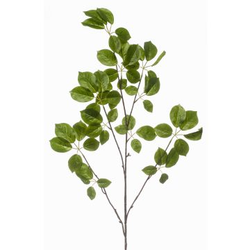Rama decorativa de schefflera KRUVEN, verde, 120 cm