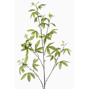 Rama decorativa de aralia MOLFER, verde, 115cm