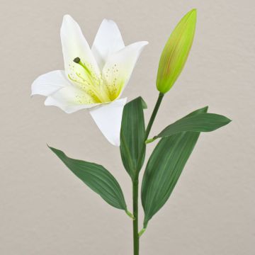 Flor del lazo atigrada artificial FILICE, blanco-verde, 50cm, Ø17cm
