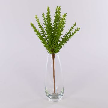 Romero de plástico ISOBEL en varilla de ajuste, verde, 35cm