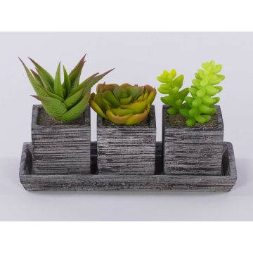Arreglo de suculentas artificiales SYLVIA en maceta decorativa, verde, 19x7,5x11cm Arreglo de suculentas artificiales SYLVIA en maceta decorativa, verde, 19x7,5x11cm
