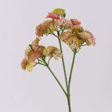 Rama de sedum artificial JAROH, rosa-verde, 35cm