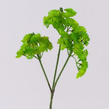 Rama de sedum artificial JAROH, verde, 35cm