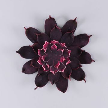 Flor de camelia artificial STEINKA, rosa oscuro, Ø30cm Flor de camelia artificial STEINKA, rosa oscuro, Ø30cm