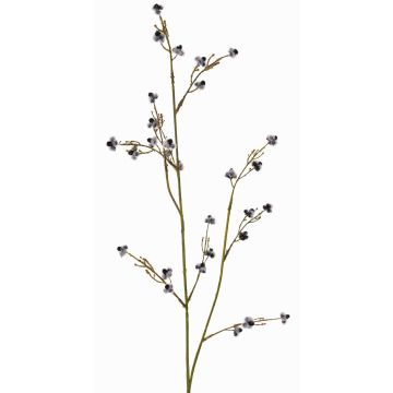 Stirlingia latifolia artificial COLLAN, negro-blanco, 75cm, Ø1cm Stirlingia latifolia artificial COLLAN, negro-blanco, 75cm, Ø1cm