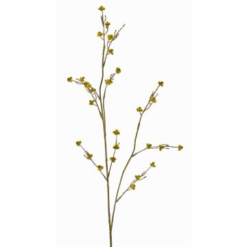 Stirlingia latifolia artificial COLLAN, amarillo-verde, 75cm, Ø1cm Stirlingia latifolia artificial COLLAN, amarillo-verde, 75cm, Ø1cm