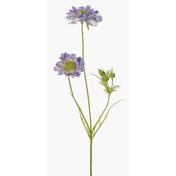 Scabiosa artificial ANDIA, azul-lila, 80cm, Ø8-10cm Scabiosa artificial ANDIA, azul-lila, 80cm, Ø8-10cm