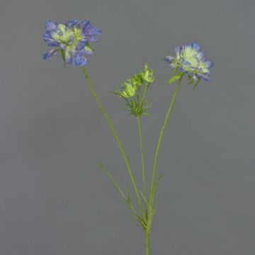 Scabiosa artificial ANDIA, azul-lila, 80cm, Ø8-10cm