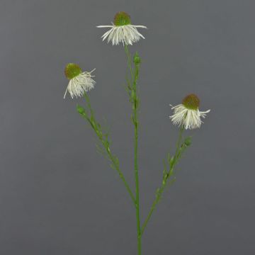 Echinacea artificial CELIO, crema, 60cm, Ø6cm