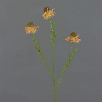 Echinacea artificial CELIO, naranja, 60cm, Ø6cm