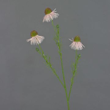 Echinacea artificial CELIO, rosa, 60cm, Ø6cm