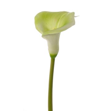 Calla artificial MIRAC, verde-blanco, 75cm, 12x15cm