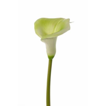 Calla artificial MIRAC, verde-blanco, 75cm, 13x15cm