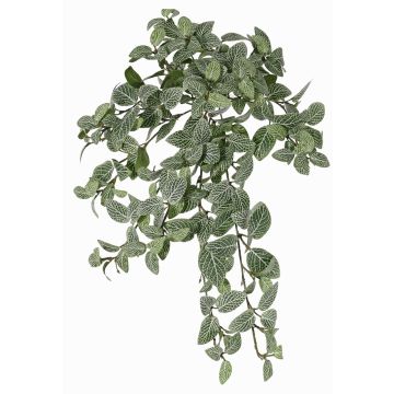 Fittonia artificial NALEDI, en varilla de ajuste, zona de tránsito, difícilmente inflamable, verde-blanco, 50cm Fittonia artificial NALEDI, en varilla de ajuste, zona de tránsito, difícilmente inflamable, verde-blanco, 50cm