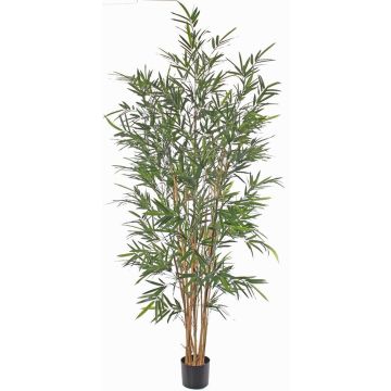 Bambú artificial LUCINE, troncos reales, zona de tránsito, 195cm Bambú artificial LUCINE, troncos reales, zona de tránsito, 195cm