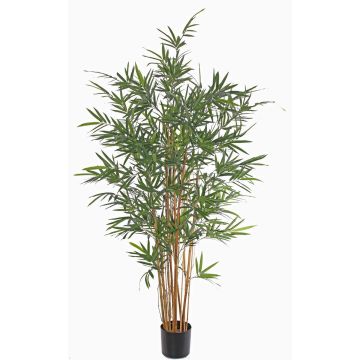Bambú artificial LUCINE, troncos reales, zona de tránsito, 230cm Bambú artificial LUCINE, troncos reales, zona de tránsito, 230cm
