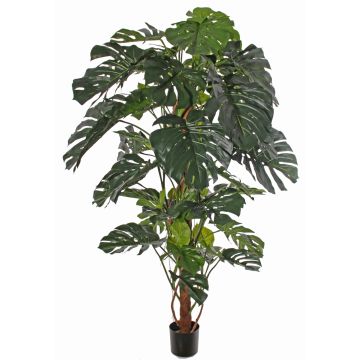 Monstera deliciosa artificial CHORA, 190cm