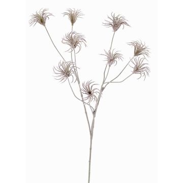 Clematis artificial HARWAY, marrón oscuro, 105cm, Ø7cm Clematis artificial HARWAY, marrón oscuro, 105cm, Ø7cm