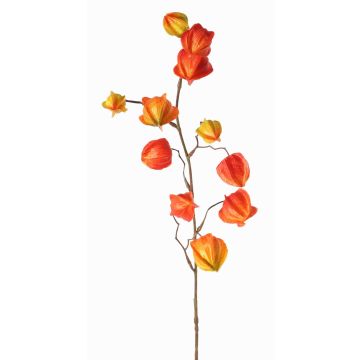 Rama artificial de Physalis PERSEI con frutos, naranja, 80cm Rama artificial de Physalis PERSEI con frutos, naranja, 80cm