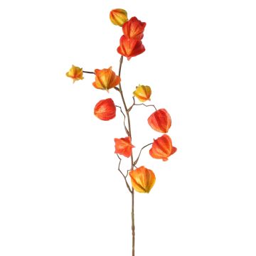 Rama artificial de Physalis PERSEI con frutos, naranja, 80cm Rama artificial de Physalis PERSEI con frutos, naranja, 80cm