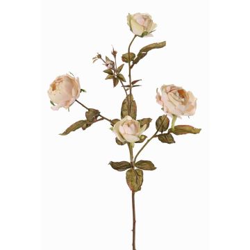 Rama de rosas artificial SITARA, crema-rosa, 75cm, Ø5-8cm