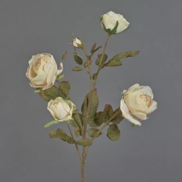 Rama de rosas artificial SITARA, crema, 75cm, Ø5-8cm