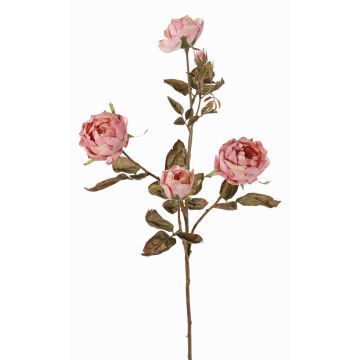 Rama de rosas artificial SITARA, rosa palo, 75cm, Ø5-8cm