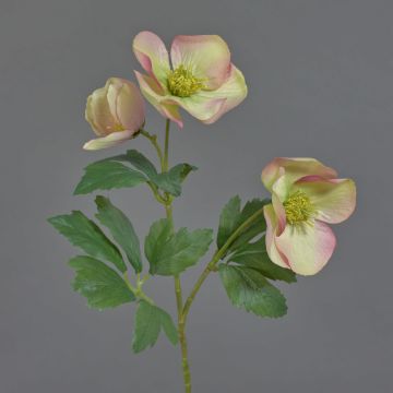 Rosa artificial de Navidad AKRAB, rosa-crema, 45cm, Ø5-8cm