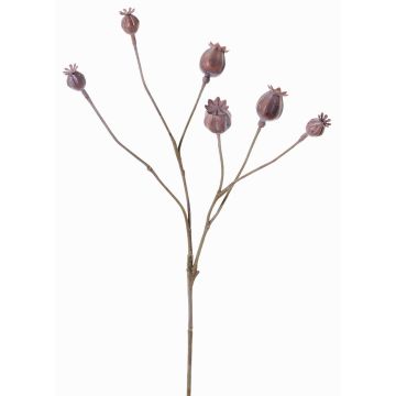 Cápsulas de amapola artificial ASUMAN, marrón, 70cm, Ø2-3cm Cápsulas de amapola artificial ASUMAN, marrón, 70cm, Ø2-3cm