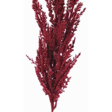 Rama artificial de hierba de la pampa THEMBA, rojo burdeos, 115cm