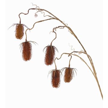 Cardo silvestre artificial LORCAN, marrón-rojo, 120cm, Ø6-8cm Cardo silvestre artificial LORCAN, marrón-rojo, 120cm, Ø6-8cm