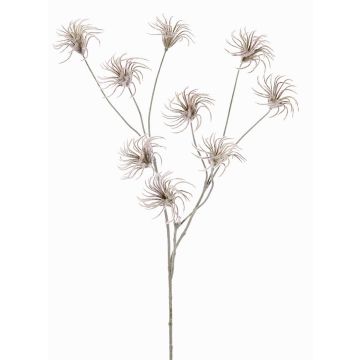 Clematis artificial HARWAY, marrón, 70cm, Ø7cm Clematis artificial HARWAY, marrón, 70cm, Ø7cm