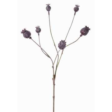 Cápsulas de amapola artificial ASUMAN, marrón oscuro, 70cm, Ø2-3cm Cápsulas de amapola artificial ASUMAN, marrón oscuro, 70cm, Ø2-3cm