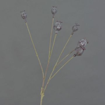 Cápsulas de amapola artificial ASUMAN, marrón oscuro, 70cm