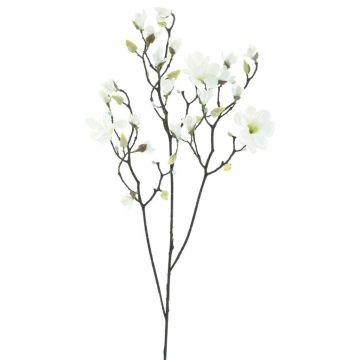 Rama decorativa de magnolia NELKA, blanco, 125 cm Rama decorativa de magnolia NELKA, blanco, 125 cm
