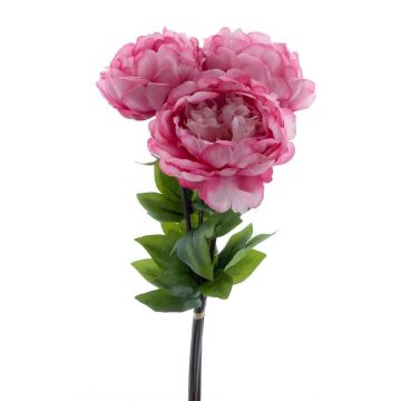 Ramo de flores artificiales de peonías DUDIL, rosa-rosa, 50 cm Ramo de flores artificiales de peonías DUDIL, rosa-rosa, 50 cm